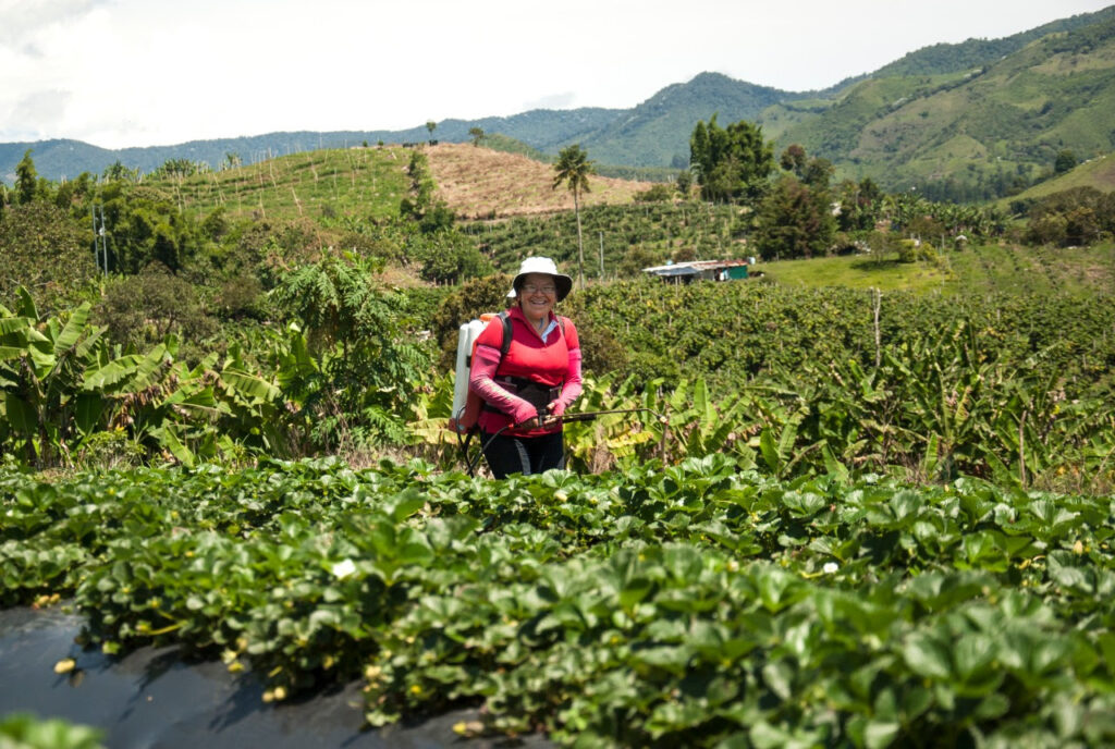 campesina10 campesina10
