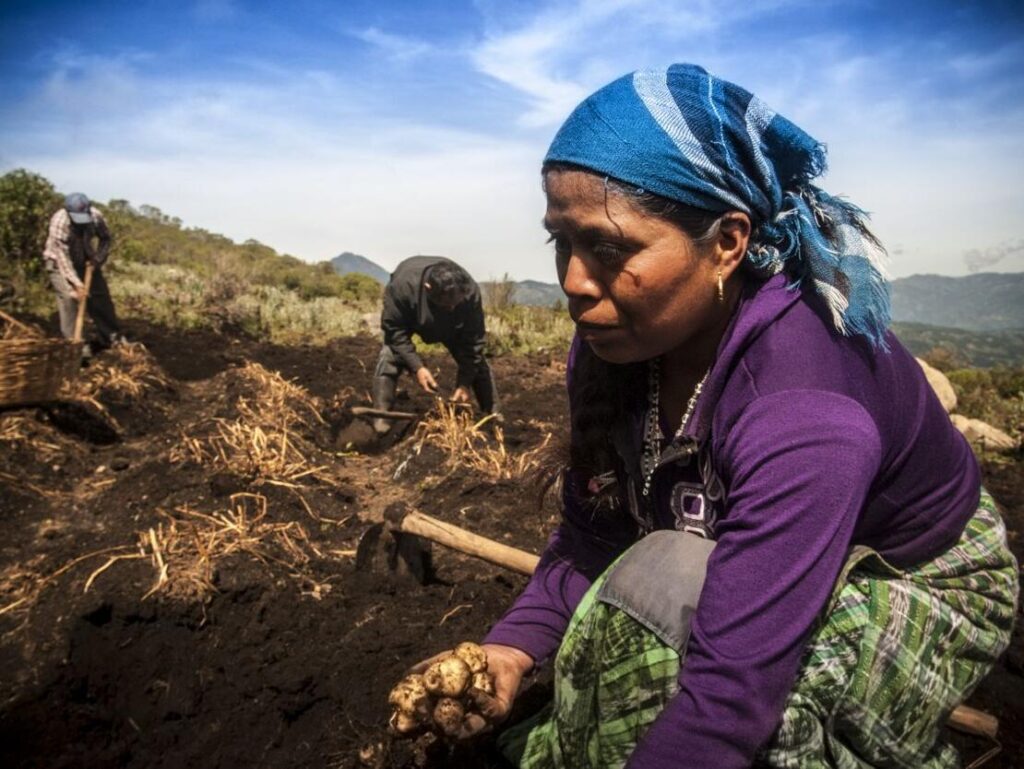 paul aragon leyton paul aragon leyton